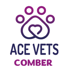 ACE Vets Comber