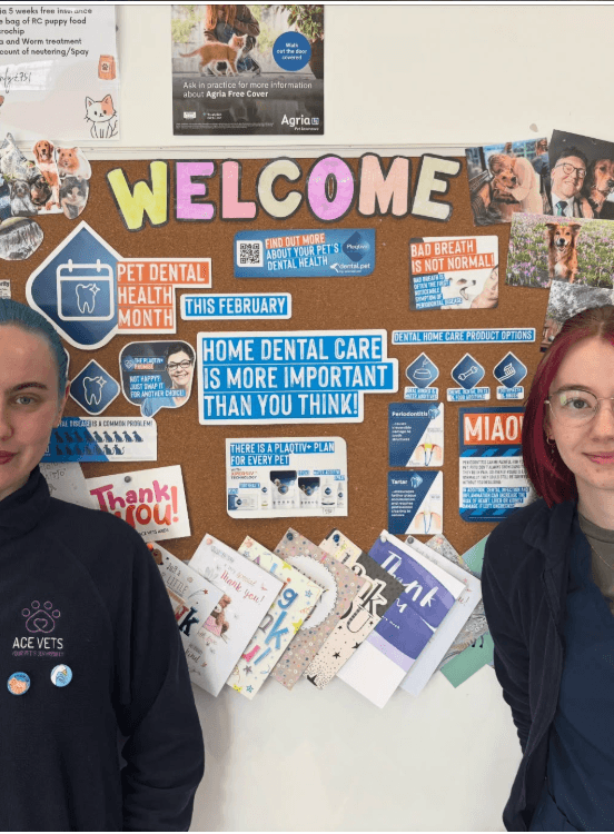 ACE Vets team at the welcome board