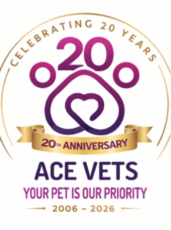 ACE Vets 20th Anniversary