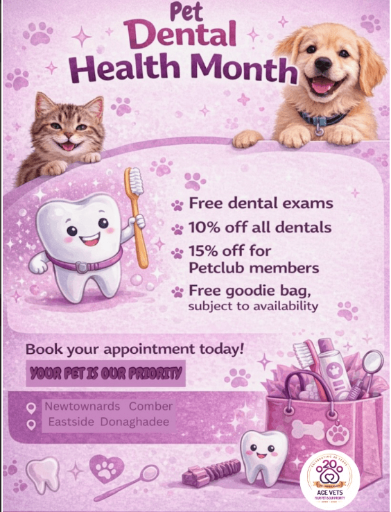 Pet Dental Health Month promotion