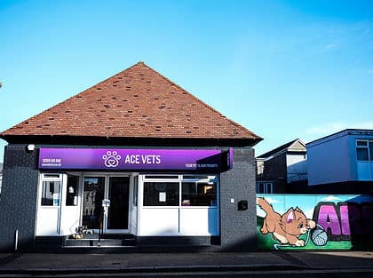 ACE Vets NI clinic exterior