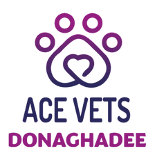ACE Vets Donaghadee