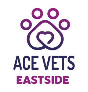 ACE Vets Eastside Belfast